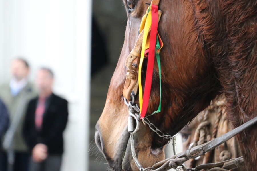 cavalgada-dos-196-anos-do-municipio-iniciou-neste-sabado-27