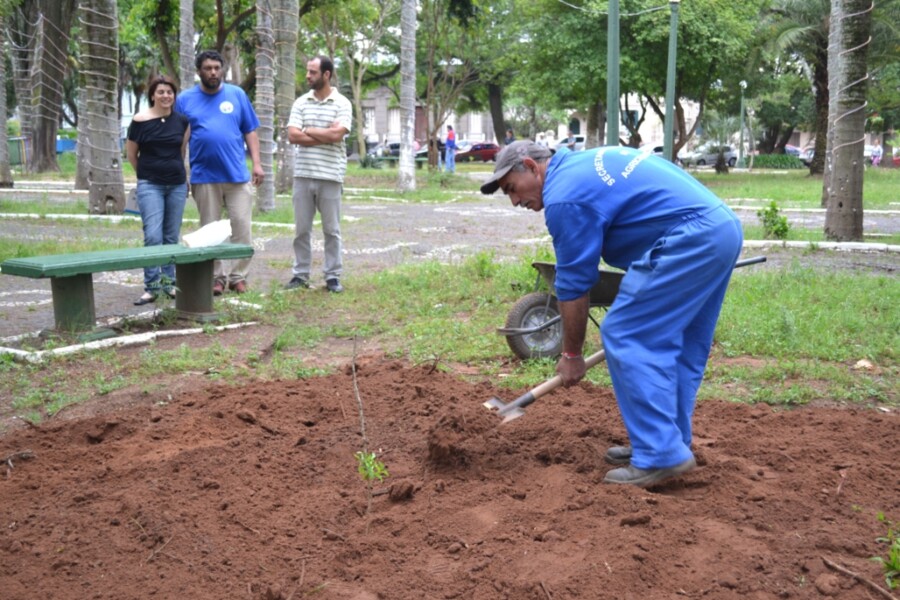 prefeitura-repoe-arvores-na-praca-general-osorio