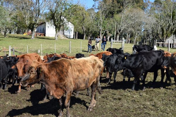prefeito-acompanha-atividades-no-campo-de-cooperacao