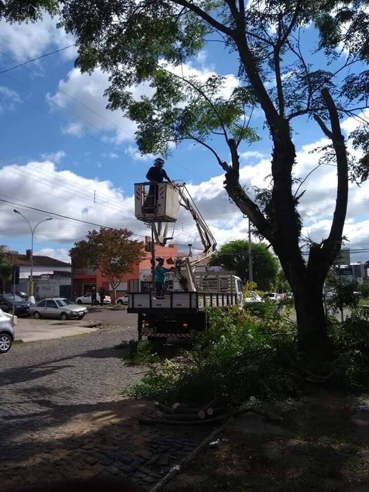 servico-de-poda-e-retomado-no-centro